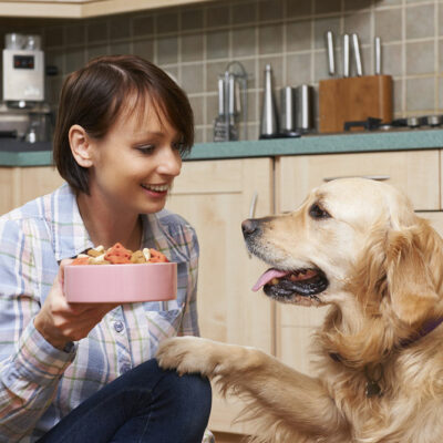 Effective Natural Flea Prevention Tips for Dogs