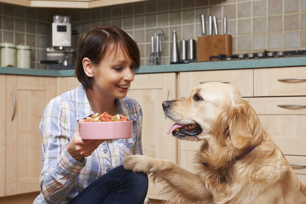 Effective Natural Flea Prevention Tips for Dogs