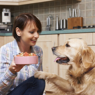 The Most Healthy Foods for Dogs