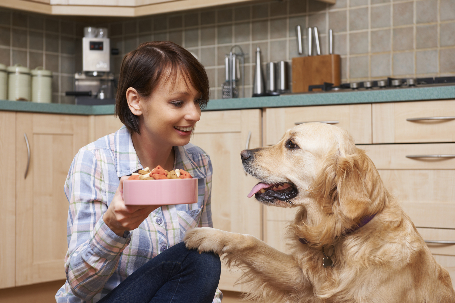 The Most Healthy Foods for Dogs