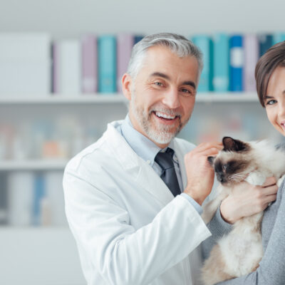 The Major Risk Factors Associated with Purchasing Pet Meds Online
