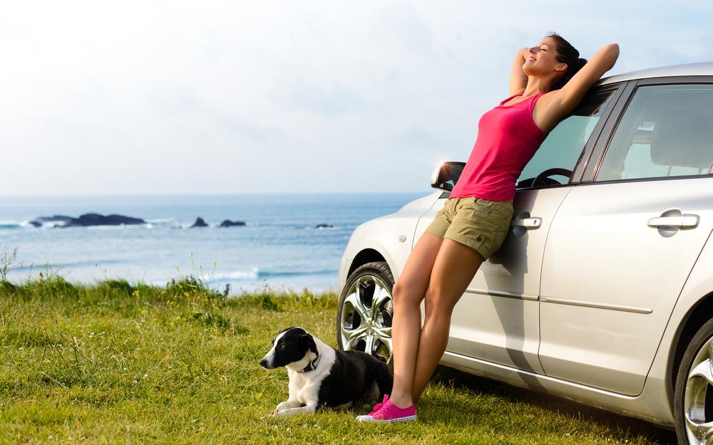 Top Tips for Pet-Friendly Travel