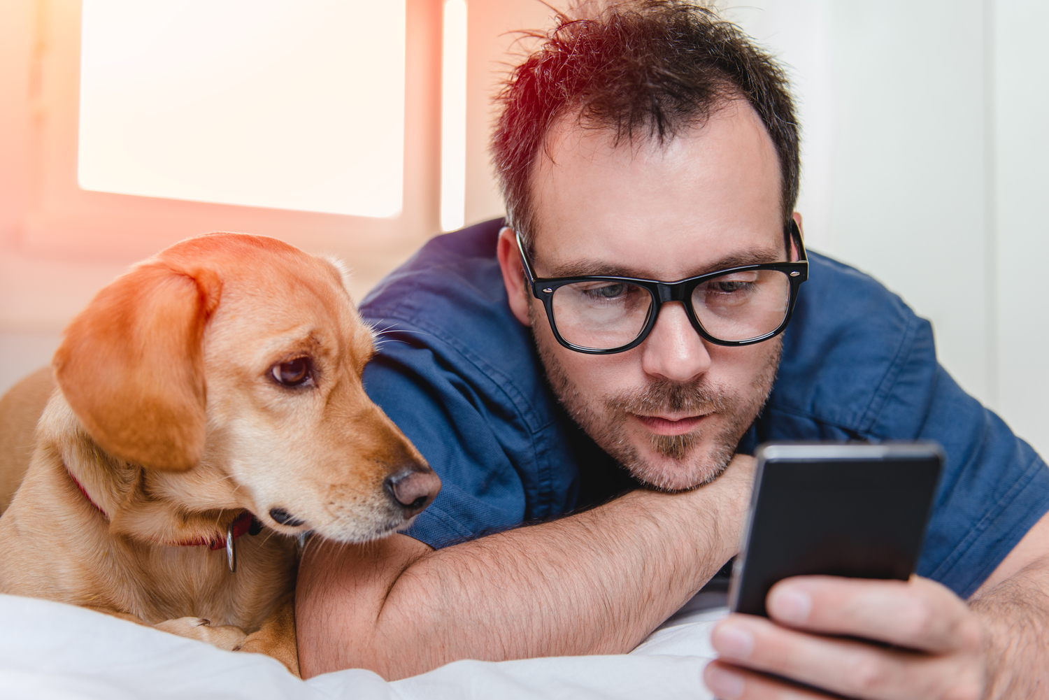 Types of Pet Insurance in 2019