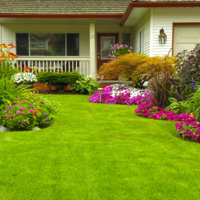 Efficient Tips for a Natural Green Lawn